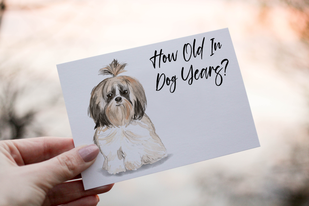 Shih Tzu Dog Birthday Card, Dog Birthday Card, Personalized Card